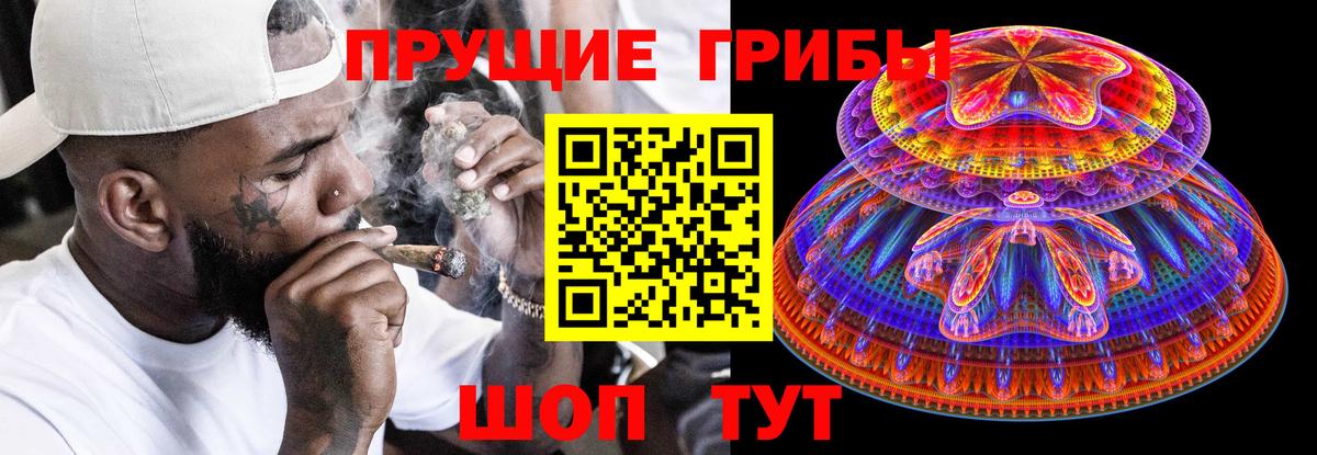 Псилоцибиновые грибы Psilocybine cubensis  Вход с VPN  Муром 